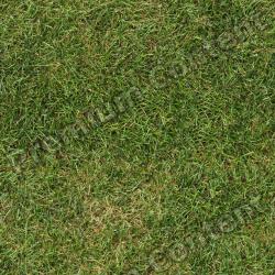 Seamless Grass